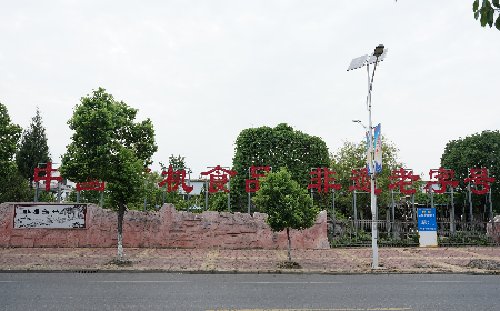 當(dāng)定制葛粉時(shí)，我們真正在選擇什么？